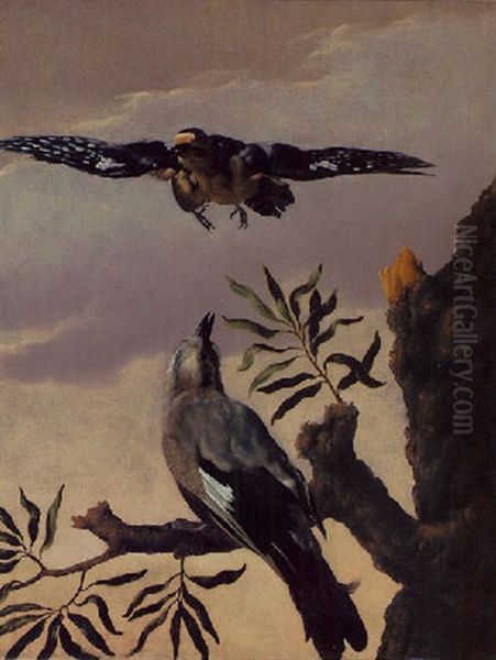 A Jay Perched On A Branch And A Lapwing Flying Above Oil Painting by Melchior de Hondecoeter