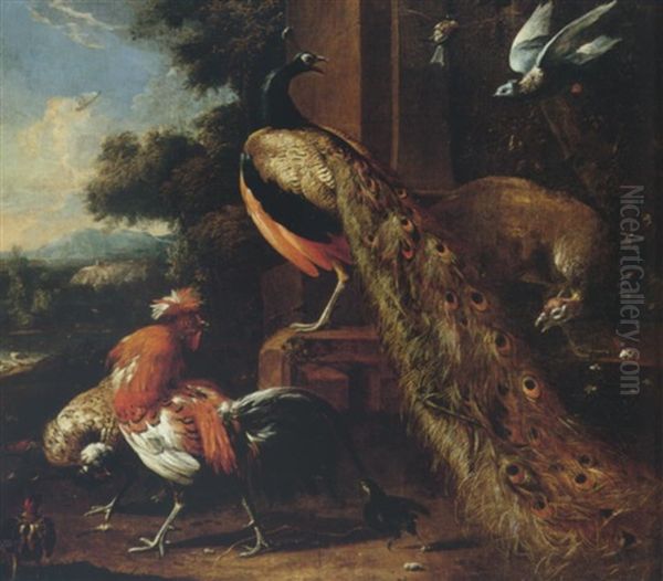 A Peackock, Peahen, Bantams And Pigeons In A Landscape Oil Painting by Melchior de Hondecoeter