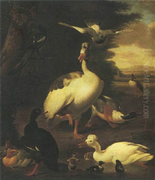 Anatre Ed Altri Volatili Nei Pressi Di Uno Stagno Oil Painting by Melchior de Hondecoeter