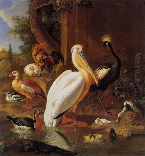 A Pelican, A Crested Crane, A Hen And Rooster With Various Ducks In A Landscape Oil Painting by Melchior de Hondecoeter