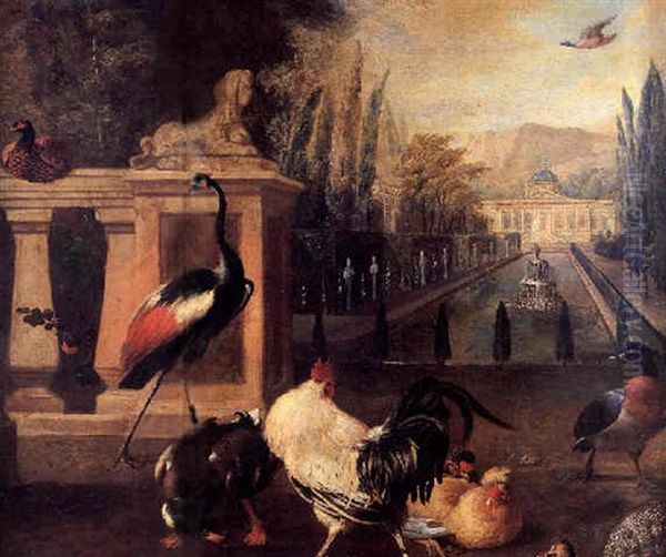 Aves En Un Jardin Oil Painting by Melchior de Hondecoeter