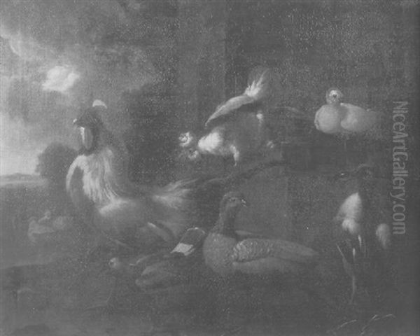 A Cockeral, A Hen, Pidgeons, A Pheasant And A Mallard In A Yard Oil Painting by Melchior de Hondecoeter