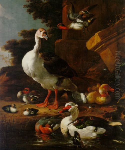 A Chinese Goose, An Egyptian Goose, A Muscovy Duck, A Wigion And Teal With Other Waterfowl By A Pond In A Park Oil Painting by Melchior de Hondecoeter