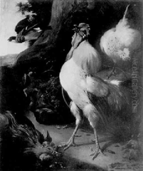 Coq Dans Un Paysage Oil Painting by Melchior de Hondecoeter