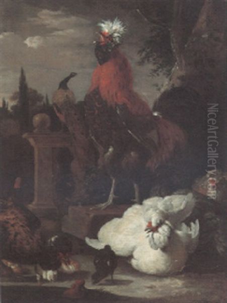 A Rooster, A Peacock, Hens And Chicks By A Pool In An Ornamental Garden Oil Painting by Melchior de Hondecoeter