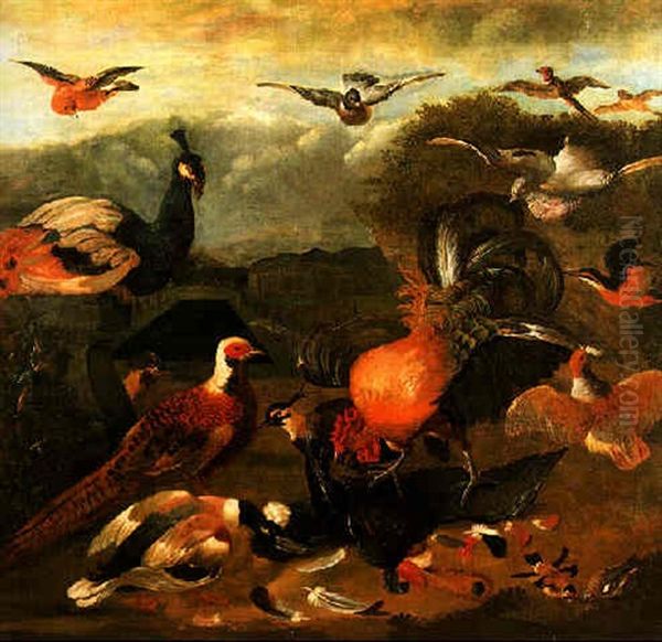 A Cockerel, Peacock, Pheasant And Other Birds In A Formal Garden Oil Painting by Melchior de Hondecoeter