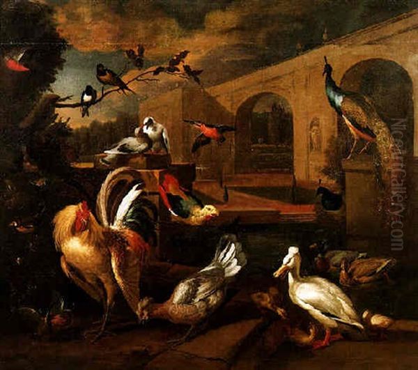 A Cockerel, Hen, Tufted Duck And Other Birds In A Formal Garden Oil Painting by Melchior de Hondecoeter