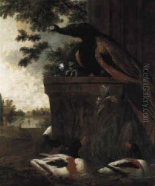 A Peacock On A Plinth And Ducks In A Lily Pond Near An Ornamental Lake Oil Painting by Melchior de Hondecoeter