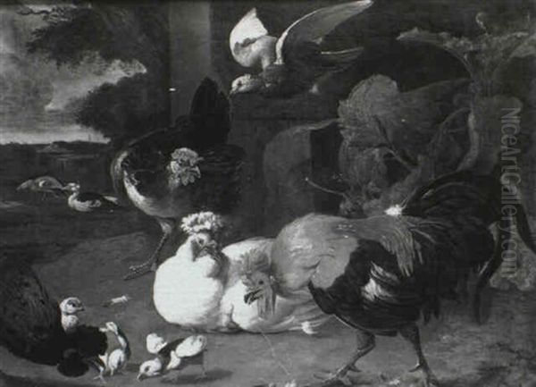 An Assembly Of Fowl Oil Painting by Melchior de Hondecoeter