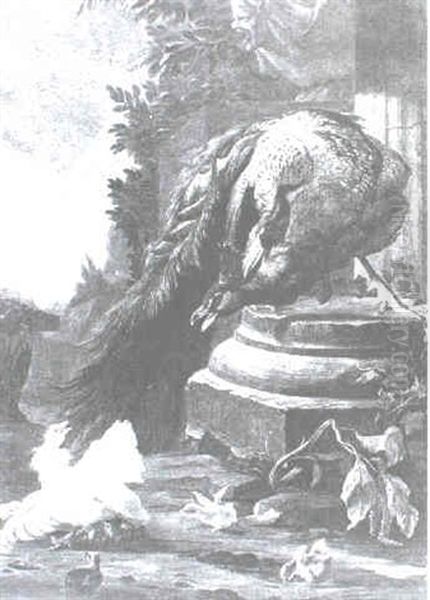 A Peacock And Other Wildfowl At The Base Of A Column Oil Painting by Melchior de Hondecoeter