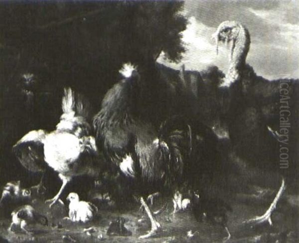 A Turkey And Other Fowl In A Barnyard Oil Painting by Melchior de Hondecoeter