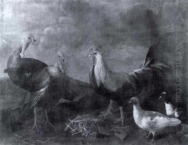 Rooster, Pigeons And Turkeys In A Landscape Oil Painting by Melchior de Hondecoeter