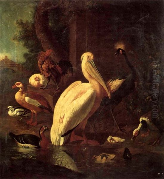 A Pelican,heron,rooster And Various Ducks By A Stream Oil Painting by Melchior de Hondecoeter