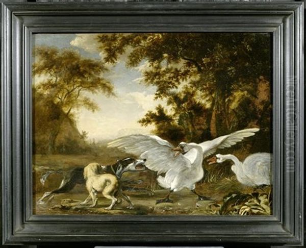 Zwei Schwane Von Zwei Jagdhunden Bedroht Oil Painting by Abraham Danielsz Hondius