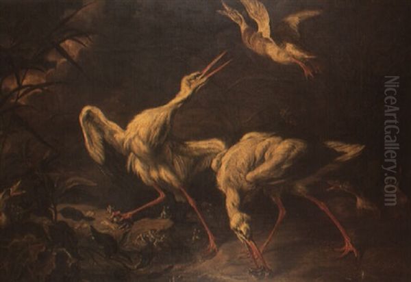 Canards, Herons Et Grenouilles Oil Painting by Abraham Danielsz Hondius