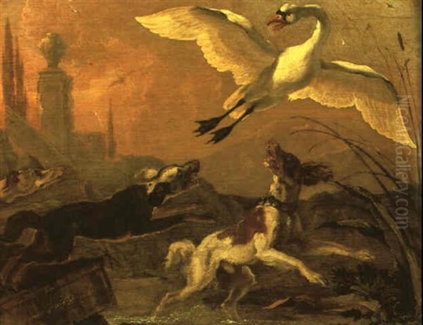 Swan Being Chased By Dogs by Abraham Danielsz Hondius