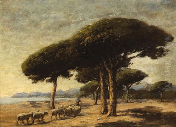 Stone Pines, Near Cannes, France Oil Painting by Nathaniel Hone the Younger