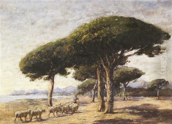 Stone Pines, Near Cannes Oil Painting by Nathaniel Hone the Younger