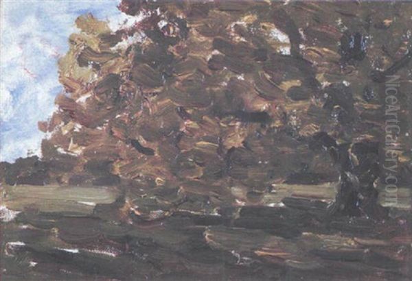 Study Of Trees by Nathaniel Hone the Younger