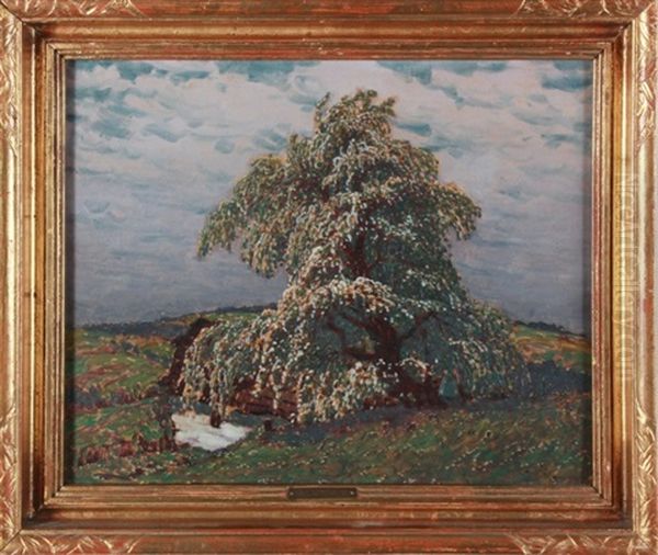 Kvetouci Hruska Oil Painting by Jan Honsa