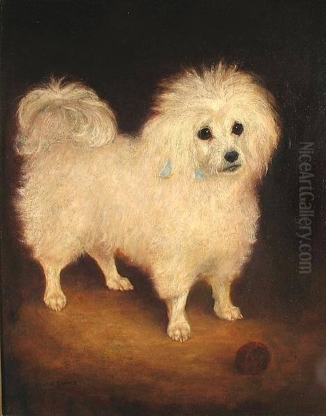 A Portrait Of A French Poodle Oil Painting by Latham Barnes