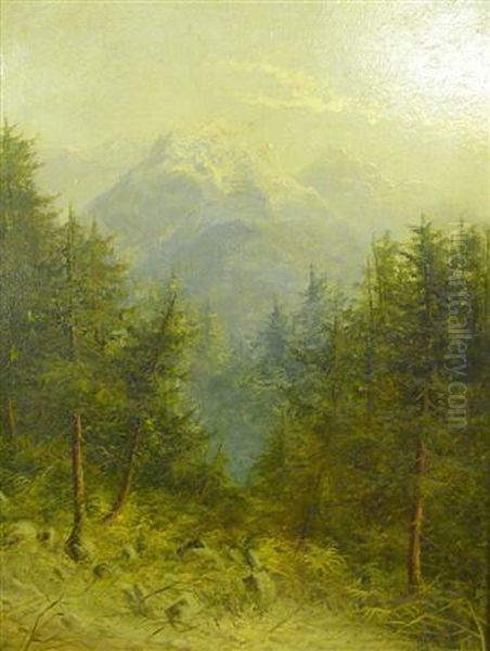 An Alpine Scene With Fir Trees And Mountain Tops Oil Painting by Samuel John Barnes