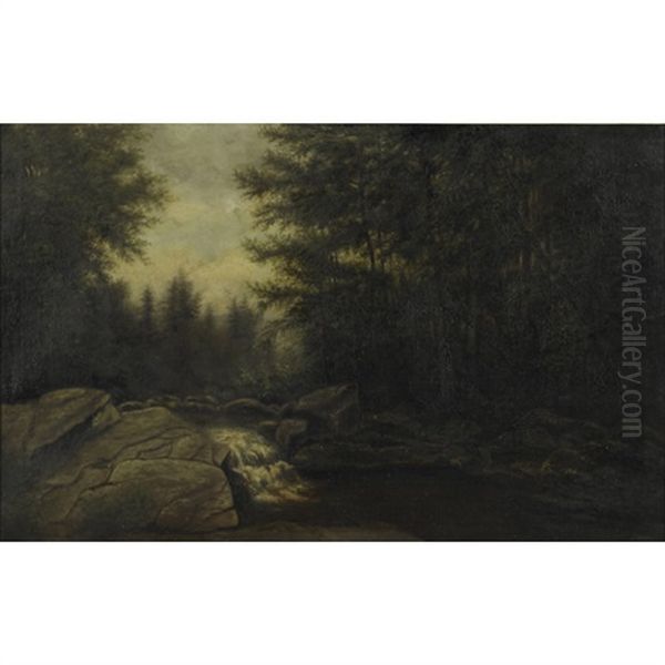 Rocky Stream In A Forest Oil Painting by James Hope