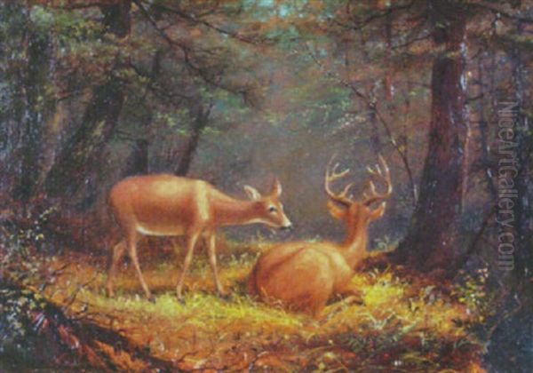 Deer In A Landscape Oil Painting by James Hope