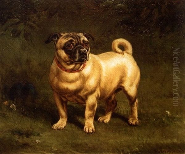 Pug by William H. Hopkins