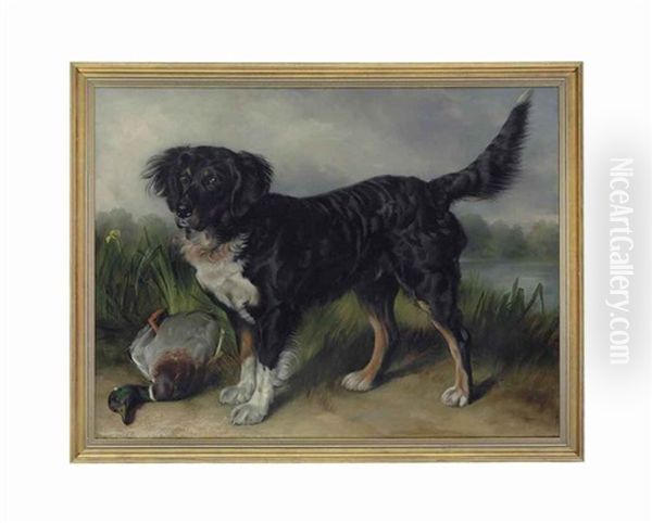 A Retriever With A Mallard Drake by George William Horlor