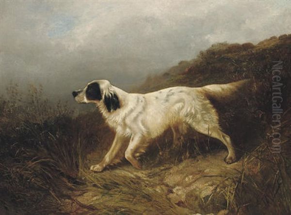 A Setter Oil Painting by George William Horlor