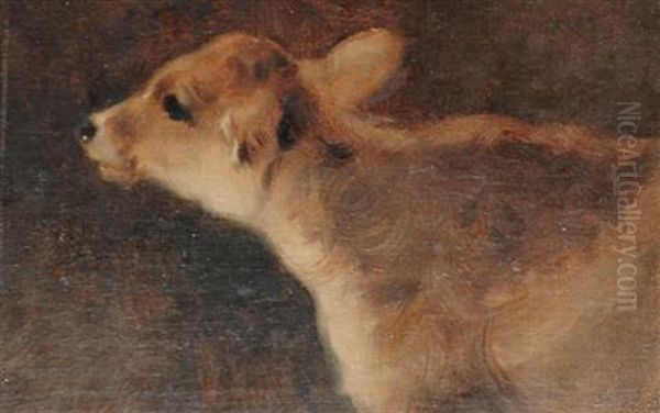 A Calf Oil Painting by George William Horlor