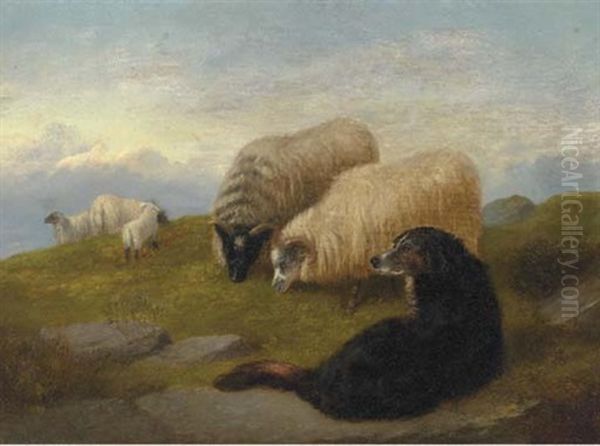 Sheepdogs Guarding The Flock Oil Painting by George William Horlor