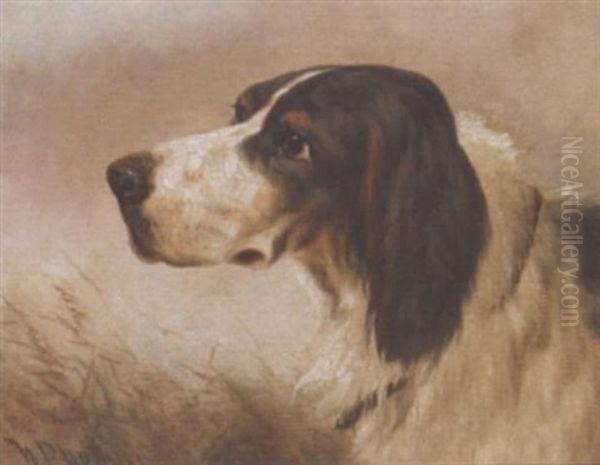 The Head Of A Gundog Oil Painting by George William Horlor