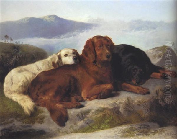 Setters In A Highland Landscape Oil Painting by George William Horlor