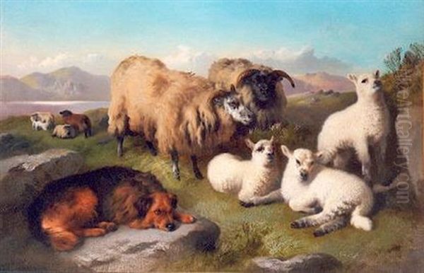 Sheep And Sheep Dog In A Highland Setting Oil Painting by George William Horlor