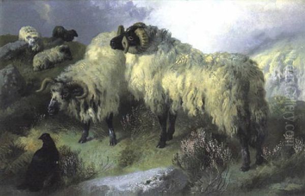 Highland Scene With Sheep And A Blackcock Oil Painting by George William Horlor