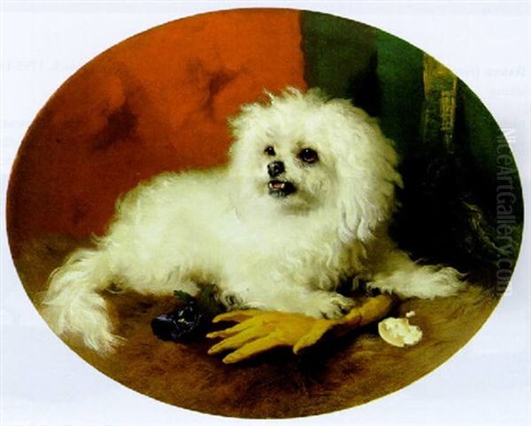 A Maltese Terrier Oil Painting by George William Horlor