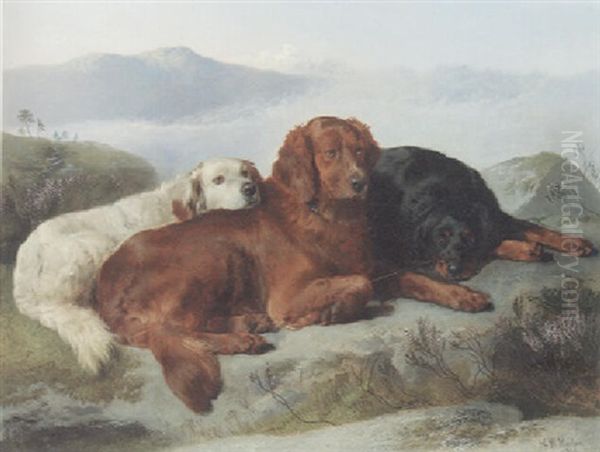 A Golden Retreiver, An Irish Setter And A Gordon Setter In A Mountainous Landscape Oil Painting by George William Horlor