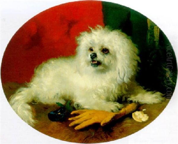 A Maltese Terrier Oil Painting by George William Horlor