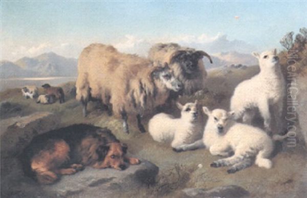 Sheep In The Highlands Oil Painting by George William Horlor