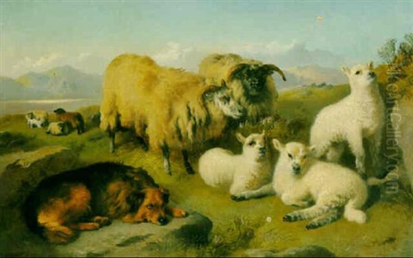 Sheep In The Highlands Oil Painting by George William Horlor