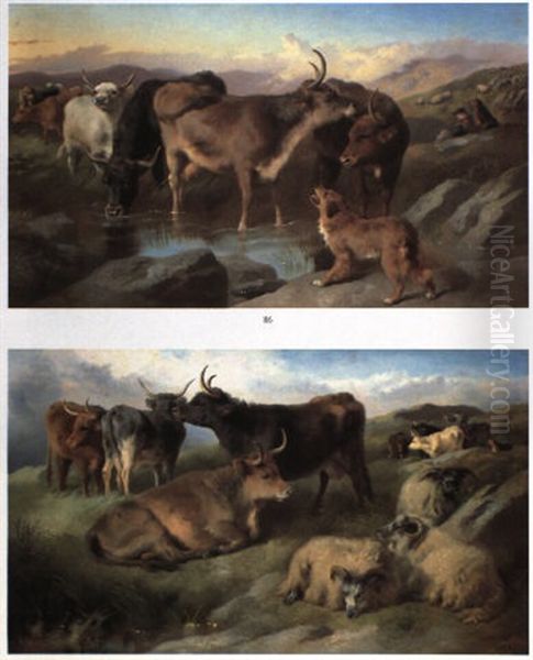 Cattle And Sheep Resting Oil Painting by George William Horlor