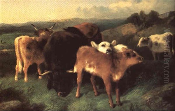 Calves And Bulls In Highland Pasture Oil Painting by George William Horlor