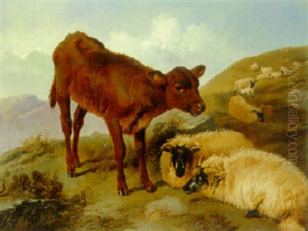 Sheep And A Calf On A Hillside Oil Painting by Joseph Horlor