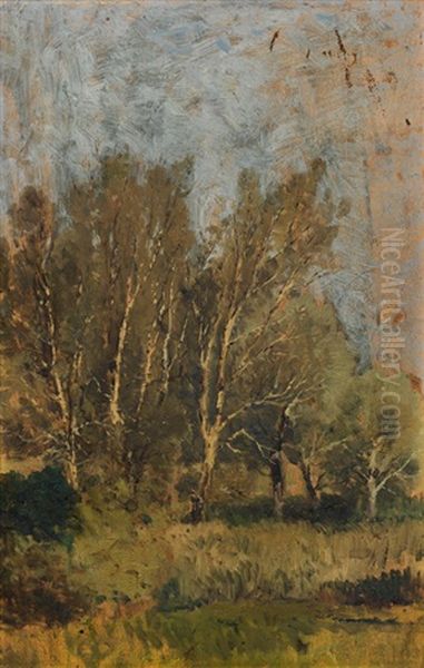 Birches Oil Painting by Theodor von Hoermann