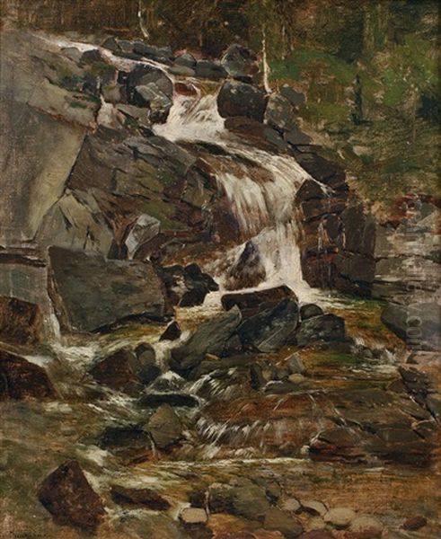 Wasserfall Im Kohlbachthale, Hohe Tatra Oil Painting by Theodor von Hoermann