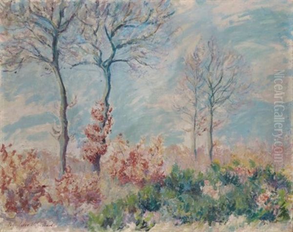 Le Bois De Falaise Oil Painting by Blanche Hoschede-Monet