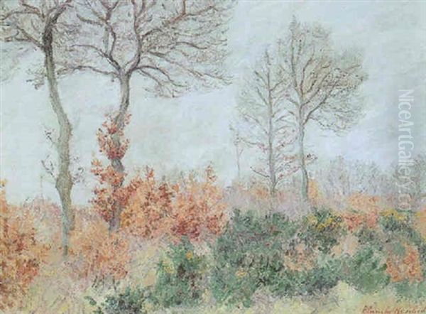 Bois Taillus En Automne Oil Painting by Blanche Hoschede-Monet