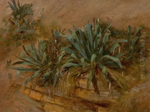 Study Of Plants On A Rocky Wall Oil Painting by Thomas Hiram Hotchkiss